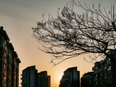 Casino Craze Play Mobilapp